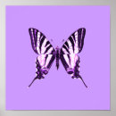 Suche nach vintage butterfly poster Insekt