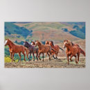 Recherche de mustang art Sauvage