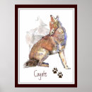 Recherche de coyotes posters Nature