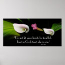 Recherche de de zantedeschia posters Fleurs