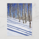 Recherche de arbre peuplier cartes postales Peuplier faux tremble