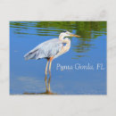 Recherche de gorda cartes postales Floride