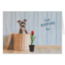 Recherche de amstaff vœux cartes Terrier américain