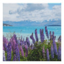 Suche nach lavendel poster Natur