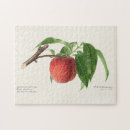 Recherche de broches puzzles Vintage