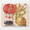 Recherche de rhinoceros tapis souris Insecte