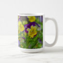 Suche nach viola tassen Blume