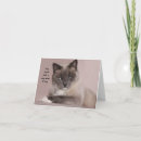 Suche nach gekreuzt karten Katze