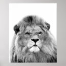 Recherche de de crèche de jungle posters Animaux