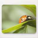 Suche nach marienkäfer mousepads Selektiver fokus