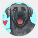 Suche nach labor aufkleber Labrador retriever