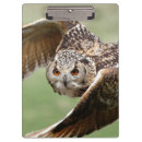 Suche nach von der luft klemmbrett Vogel