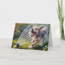 Suche nach schläuche karten Schlauch