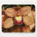 Suche nach orchidee mousepads Natur