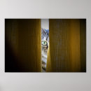 Recherche de peinture de chat posters Animal