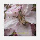 Suche nach bienen magnete Blume
