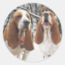 Recherche de bassets autocollants Chien de basset
