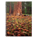 Suche nach california kleine notizbücher Color