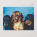 Suche nach portraits postkarten Kaninchen