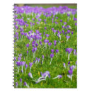 Suche nach krokus kleine notizbücher Frühling