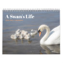 Suche nach fotokalender kalender Baby