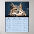 Suche nach white owl poster Tier