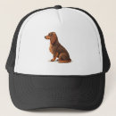 Suche nach dachshunds kappen Wolf