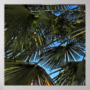Suche nach azul poster Cielo