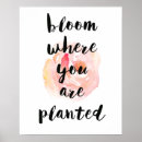 Suche nach pflanzt Blume