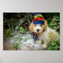 Recherche de écharpe posters Chiot