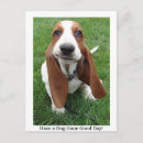Recherche de visage de chien cartes postales Animaux
