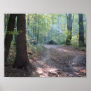 Recherche de feu de montagne posters Forêt