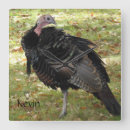 Recherche de turquie horloges Oiseau