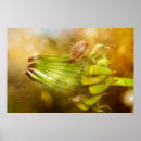 Suche nach schnecken poster Natur