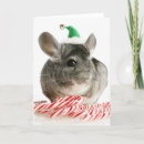 Recherche de chinchilla vœux cartes Rongeur