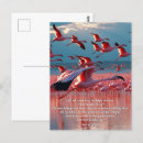 Recherche de dieux cartes postales Bible