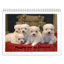 Suche nach welpen kalender Hündchen