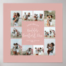 Recherche de rose de noël posters Moderne