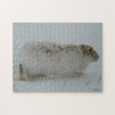 Recherche de lièvres puzzles Pour tous