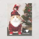 Suche nach cat christmas karten Kitty