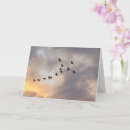 Suche nach vogel im flug karten Natur