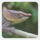 Recherche de sang froid autocollants Animaux