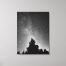 Suche nach wald leinwandbilder Baum