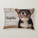 Recherche de cute corgi coussins Animal