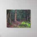 Suche nach herbstwald leinwandbilder Bäume