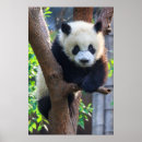 Recherche de chengdu art Chine