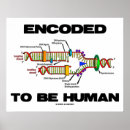 Suche nach human poster Genetik