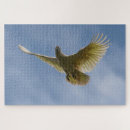 Recherche de perroquet blanc puzzles Oiseau