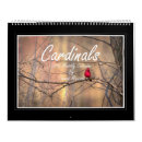 Suche nach kardinal kalender Vögel