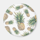 Recherche de ananas magnets À la mode